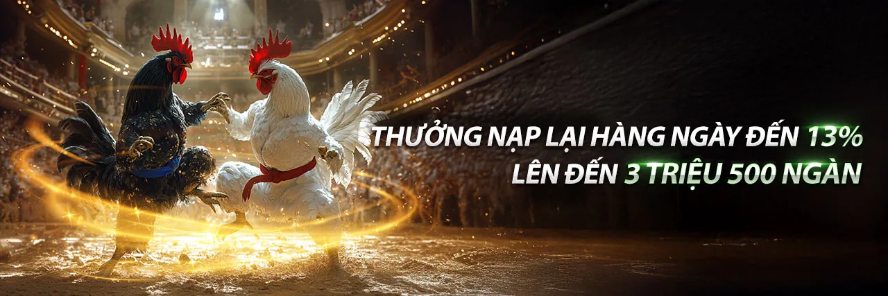 Đá gà trực tiếp tại TT88