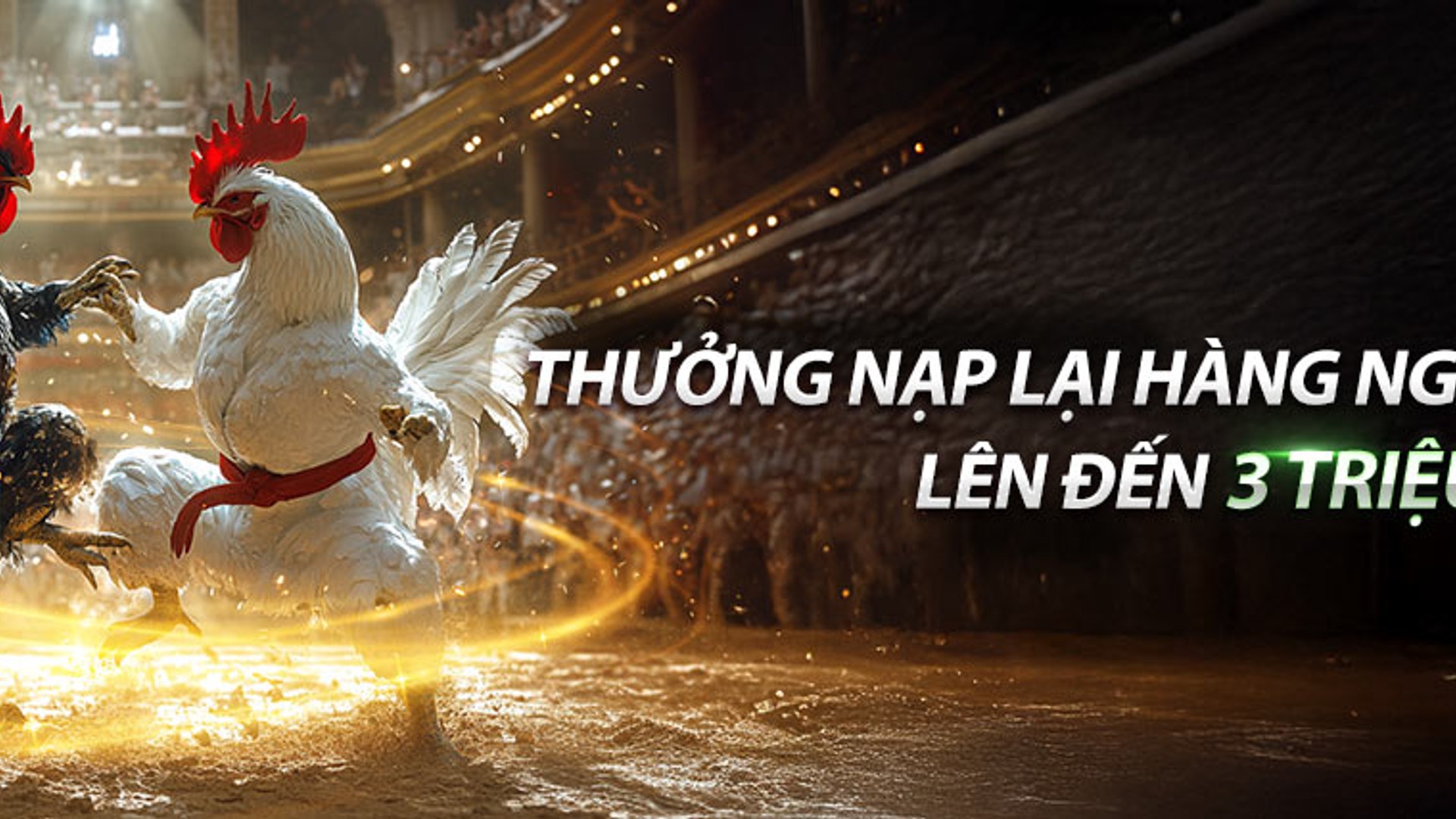 Biểu ngữ ưu đãi hoàn trả hàng ngày TT88